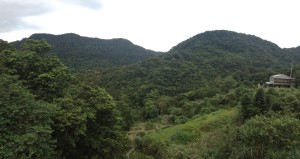 A view of the tea valley atop Maokong Mountain